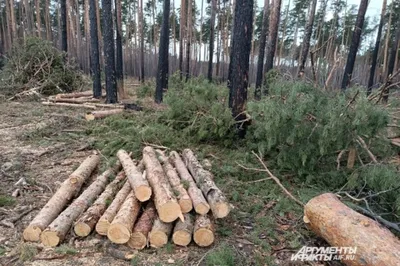 Кафе Подгородка по адресу ул. Петра Косенкова, 3, д. Подгородка, Россия