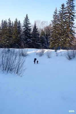 Баня в Комплексе Подгородный Омск, Подгородка , Петра Косенкова 3 🚩 цена  от 800 руб., вместимость до 12 чел, цены и телефоны 💦 саун и бань ♨️ на  ДАЙ ЖАРУ в Омске