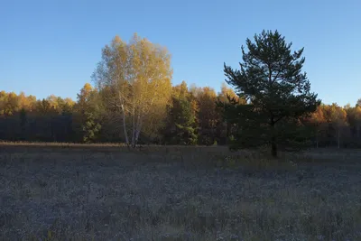 Баня в Комплексе Подгородный Омск, Подгородка , Петра Косенкова 3 🚩 цена  от 800 руб., вместимость до 12 чел, цены и телефоны 💦 саун и бань ♨️ на  ДАЙ ЖАРУ в Омске