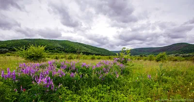 село Подгоры,Самарская область :: Ирина *** – Социальная сеть ФотоКто