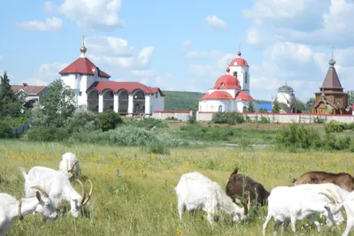 КАМЕННОЕ ОЗЕРО. Под горой Белой,... - Самара, Самарская Лука | Facebook