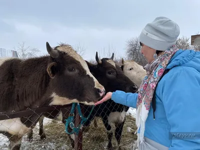 Топ-8 пикниковых озёр Самарской области / Природа / Гайды / Кому на Волге