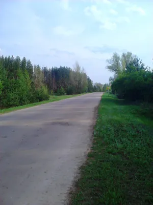 Озеро Каменное / Подгоры, Самарская Лука (Stone Lake, Samarskaya Luka) -  YouTube