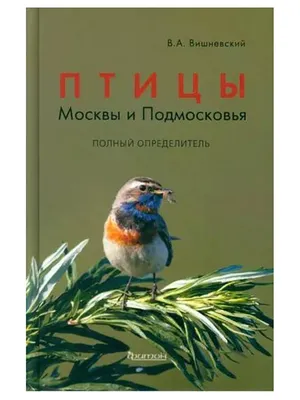 Птицы Подмосковья. Новый эпизод | Пикабу