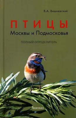 Скворцы прилетели в подмосковные леса - В регионе - РИАМО в Реутове