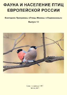 Птицы Москвы и Подмосковья: Полный определитель. 2-е изд., доп.и перераб |  Вишневский Василий Алексеевич - купить с доставкой по выгодным ценам в  интернет-магазине OZON (902180034)