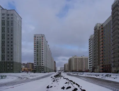 Отзыв о Экскурсия по г. Подольск (Россия, Московская область) | Новый  микрорайон в Подольске \"Кузнечики\"