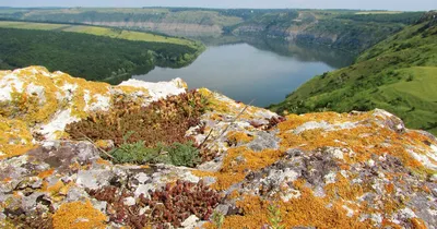 Гостиницы, отели Каменец-Подольского, Каменец-Подольский цены