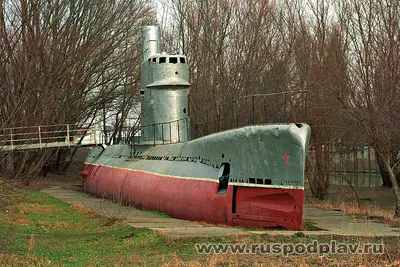 Моряки подлодки Черноморского флота «Краснодар» сдали первую курсовую  задачу - KP.RU