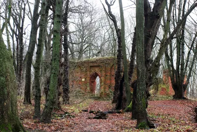 Бастион «Кронпринц» в Калининграде, фото, описание