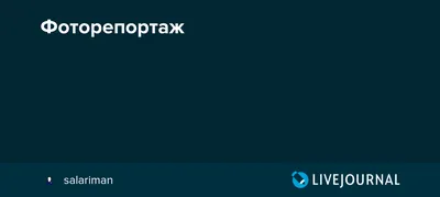 На море поездом из Москвы: список курортных городов и советы туристов -  Gkd.ru