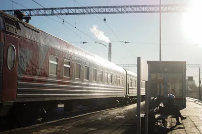 В поездах, отправляющихся в Адлер из Москвы и Санкт-Петербурга, станут  кормить - KP.RU