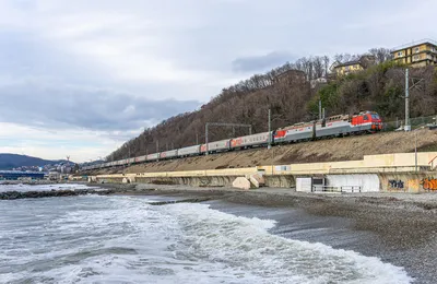 Поезд 🚝 Нижневартовск – Адлер (Сочи): цена билета в 2024 году, купить  билеты, маршрут следования, время в пути, отзывы