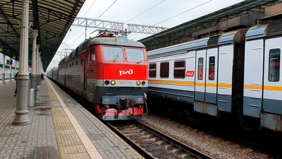 Теперь через день: поезда из Минска в Адлер будут ходить чаще - 03.06.2021,  Sputnik Беларусь