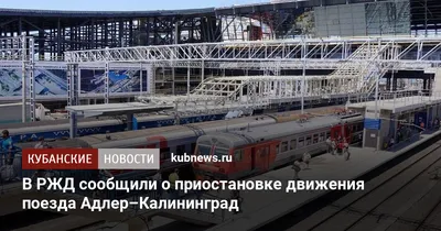 В РЖД рассказали, когда возобновит движение поезд Калининград — Адлер -  Новости Калининграда