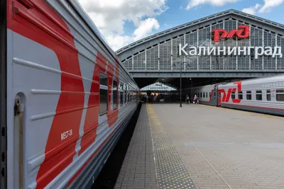Отзыв о Поезд №359 Калининград-Адлер | Удобный маршрут на юг!