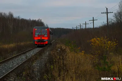 Больше 3,3 млн раз пассажиры воспользовались новыми станциями Солнцевской и  Люблинско-Дмитровской линий метро за 2 месяца их работы