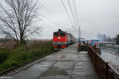 Поезд с беспересадочным вагоном до Мурманска застрял в Абхазии - KP.RU