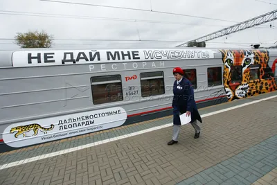 Плакат расписания движения фирменного поезда № 02/01 сообщением Москва- Владивосток и Владивосток-Москва на 2005/2006гг..