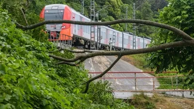 Из Воронежа в Адлер запускается новый двухэтажный поезд