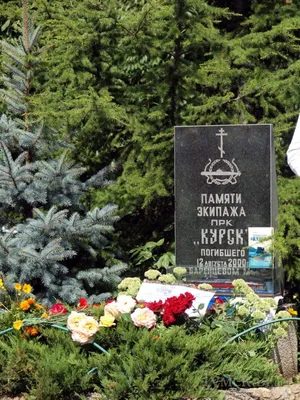 Трое жителей Курской области погибли в ходе СВО | 16.10.2023 | Курск -  БезФормата