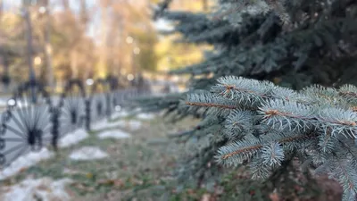 GISMETEO: Погода в Челябинске сегодня, прогноз погоды Челябинск на сегодня,  Челябинский городской округ, Челябинская область, Россия