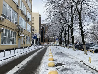 В Краснодаре потеплело | Пикабу