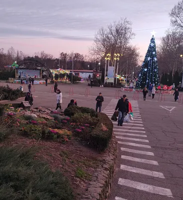 В воскресенье погода в Краснодаре улучшится, но сохранится сильный ветер.  01.07.2023 г. Телеканал «Краснодар»