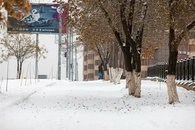 Прогноз погоды в Мурманской области на 11 декабря - Новости Мурманска и  области - ГТРК «Мурман»