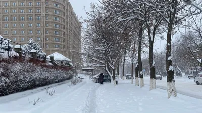 ЖК Время в Краснодаре от застройщика ССК