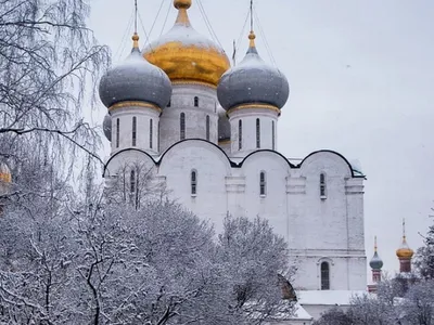 Метели, скачки температуры: погода в Москве и Петербурге в начале декабря