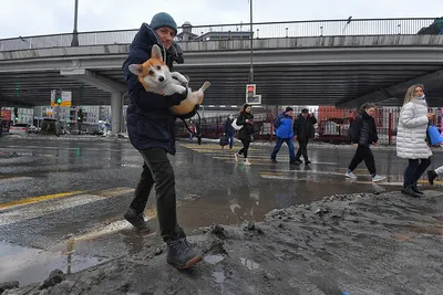 Москвичам рассказали о погоде во вторник - РИА Новости, 14.02.2023