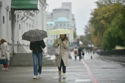 GISMETEO: Погода в Санкт-Петербурге: от снежного шторма к морозам - О  погоде | Новости погоды.