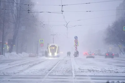 Влажно и мокро: прогноз погоды в Таганроге на выходные