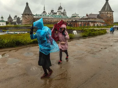 Погода на 10 июля в Санкт-Петербурге | Максим Чекасин | Дзен