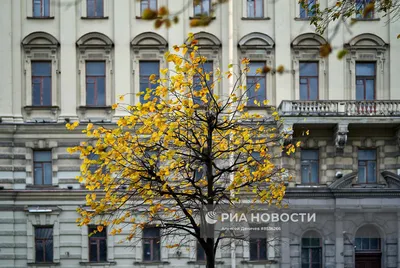 Погода в Санкт-Петербурге — обзор и прогноз погоды завтра и сегодня в Санкт- Петербурге