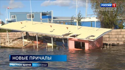 Погода в Санкт-Петербурге сегодня: прогноз синоптиков 29 мая 2023 г. — РБК