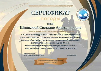 Погода в Санкт-Петербурге сегодня, 15 мая 2023 г. — РБК