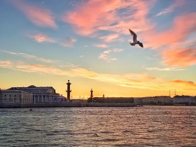 В Санкт-Петербурге побит десятилетний температурный рекорд — Новые Известия  - новости России и мира сегодня