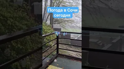 Погода В Сочи В Январе: последние новости на сегодня, самые свежие сведения  | 93.ru - новости Краснодара