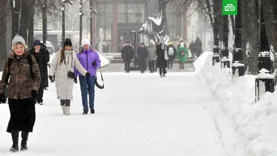 Аномально теплая погода в Сочи | РИА Новости Медиабанк