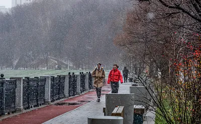 Прогноз Погоды В Москве: последние новости на сегодня, самые свежие  сведения | msk1.ru - новости Москвы