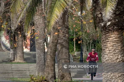 Погода на вторник, 26 декабря 2023 года Сегодня в городе днём без осадков,  а поздно вечером ожидается мокрый.. | ВКонтакте