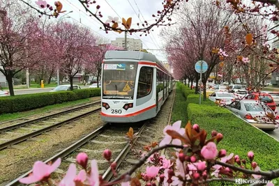 Погода в Москве 8 марта обновила рекорд тепла — РБК