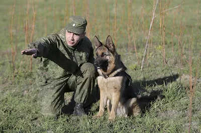 Пограничные войска – это сила, мужество и стойкость | 25.05.2023 | Верхняя  Тура - БезФормата