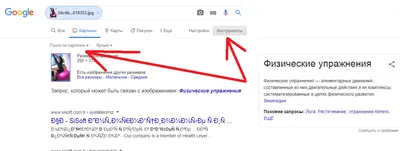 Здравствуйте! Куда исчез выбор картинок по размеру? - Форум – Google Поиск  и Ассистент