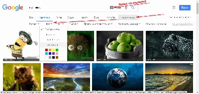 Поиск картинок в Интернете