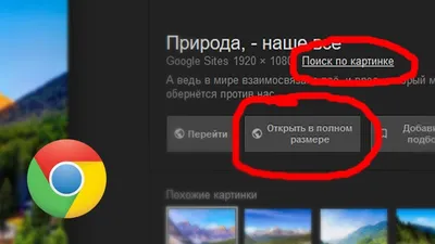 Оптимизация контента для Google Картинок