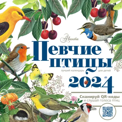 Календарь 2024г 290*290 \"Певчие птицы (календарь со звуками)\" настенный, на  скрепке «Читай-город»