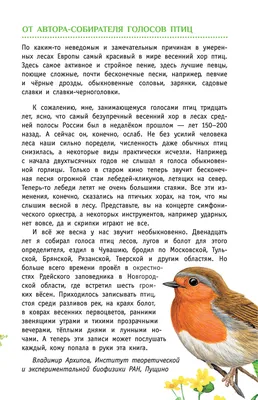 Певчие птицы у меня дома - Птицы нашего детства - Певчие птицы с которых мы  начинали. - YouTube